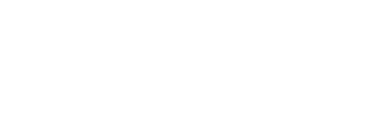 NetRavenMedia